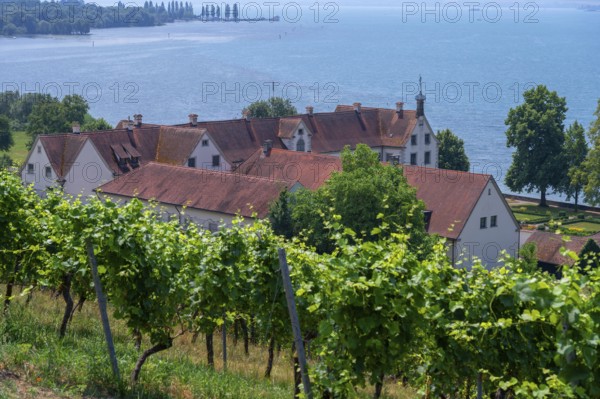 Maurach Baroque Castle on Lake Constance, Birnau-Maurach 4, Uhldingen-Mühlhofen, Baden-Württemberg,