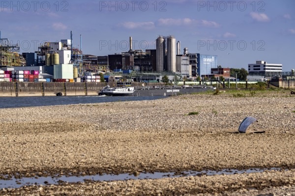 Low water of the Rhine near Leverkusen, Rhine bank, left bank of the Rhine, near Cologne-Merkenich,