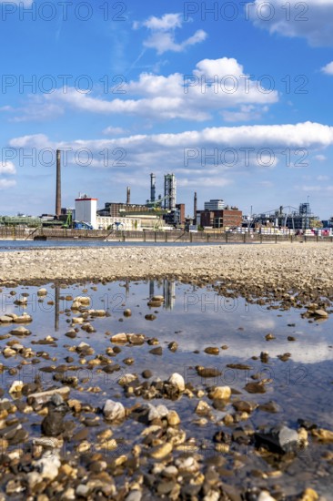 Low water of the Rhine near Leverkusen, Rhine bank, left bank of the Rhine, near Cologne-Merkenich,