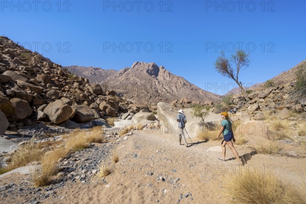 Tourist with guide on the White Lady Trail, Tsisab Gorge, desert landscape, Brandberg, Erongo,