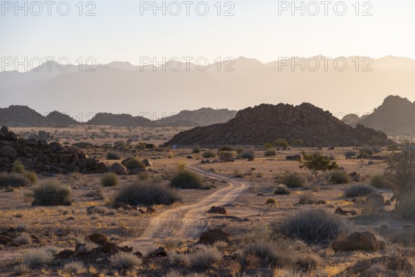 Sandy track, desert landscape in the evening light at sunset, backlit, Brandberg, Erongo,