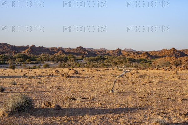 Desert landscape in the evening light at sunset, barren landscape with hills of stacked rocks,