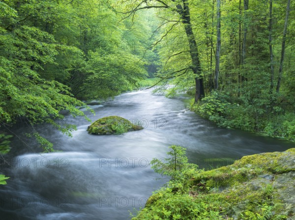 White water and rapids on the Trieb stream in the Triebtal nature reserve in Vogtland, Plauen,