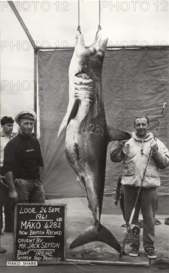 British record, fisherman Jack Sefton with large shortfin mako (Isurus oxyrinchus) 214 kg 26 Sept.