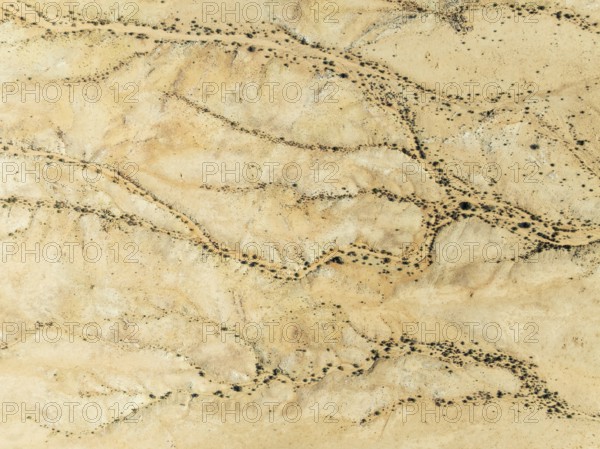 Arid desert plain and dried-up river beds with sparse vegetation. Aerial view. Drone shot. Gondwana