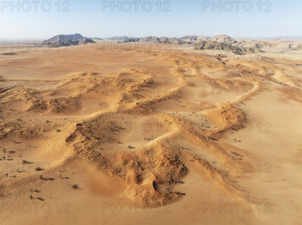 Sand dunes grown with camelthorn trees (Vachellia erioloba) and isolated mountain ridges in the