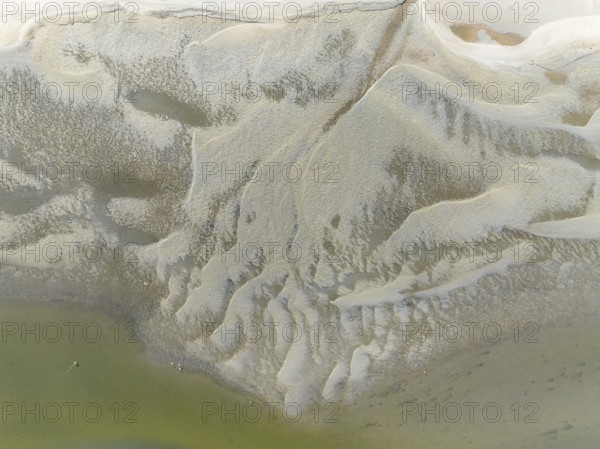 Low tide patterns and Greater Flamingos (Phoenicopterus ruber) at the Walvis Bay Lagoon. Aerial