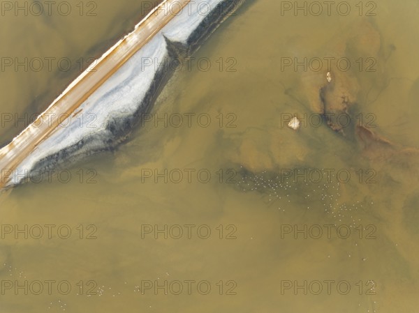 Salt road and Greater Flamingos (Phoenicopterus ruber) at the Walvis Bay Lagoon. Aerial view. Drone