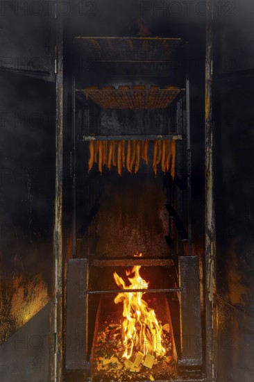 Smoking fish over beechwood fire in large metal smoker oven on the island Usedom in the Baltic Sea,