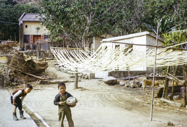 Noodles drying in sun, Tai Tei Tong village, Silver Mine Bay Mui Wo, Lantua Island, New