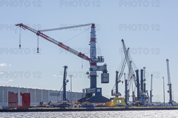 Overseas harbour, Liebherr-MCCtec, heavy-duty crane TCC 78000, Warnemünde, Rostock,