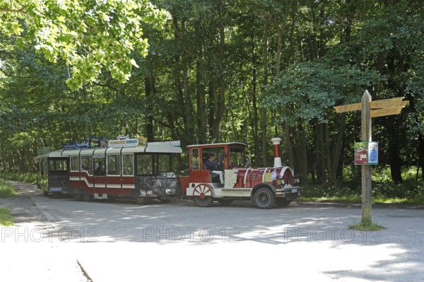Bimmelbahn, Darßbahn, Darßer Ort stop, Born a. Darß, Vorpommersche Boddenlandschaft National Park,