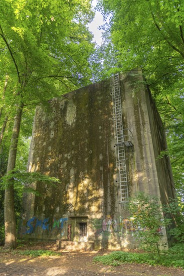 Mossy air-raid shelter on the eastern edge of the Bürgerpark on Parkallee, built during the Nazi