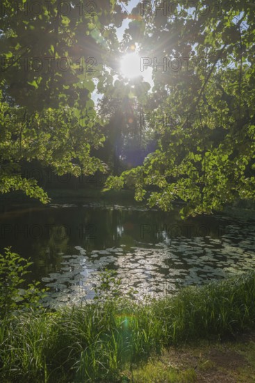 Bürgerpark from 1866, landscape park with rivers and lakes, garden monument, attraction,