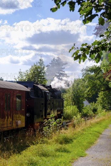 Steam locomotive, Harzquerbahn, near Elend, Harz, Saxony-Anhalt, Germany