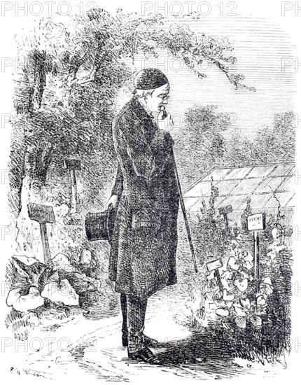 The cane and its use, A scholar's cane, Historical, digitally enhanced reproduction of a 19th