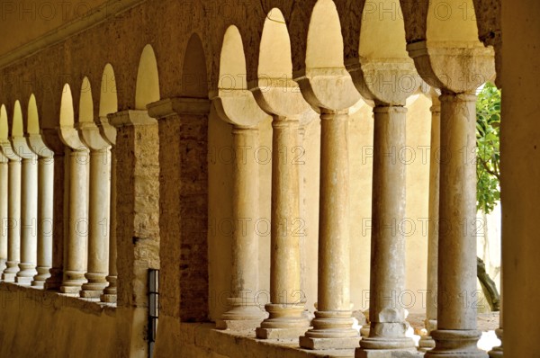 Romanesque columns, double columns in the cloister, Gothic basilica of the Cistercian Abbey of