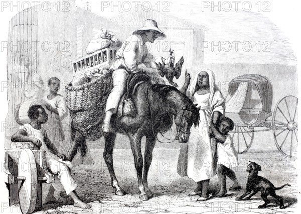 A fruit and poultry merchant in Cuba in 1870, digitally enhanced reproduction from a 19th century