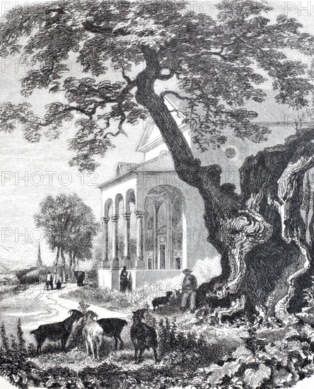 Chapel near Trons, Disentis in the canton of GraubÃ¼nden, 1876, in front of it an ancient maple