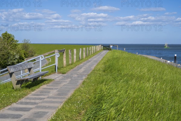 Bench and path on the dyke, Tammensiel, Pellworm Island, North Frisia, North Sea,