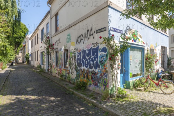 Residential street in the Ostertor neighbourhood a popular residential area, eastern suburb,