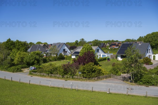 Detached houses in the countryside by the dyke, Tammensiel, Pellworm Island, North Sea, North