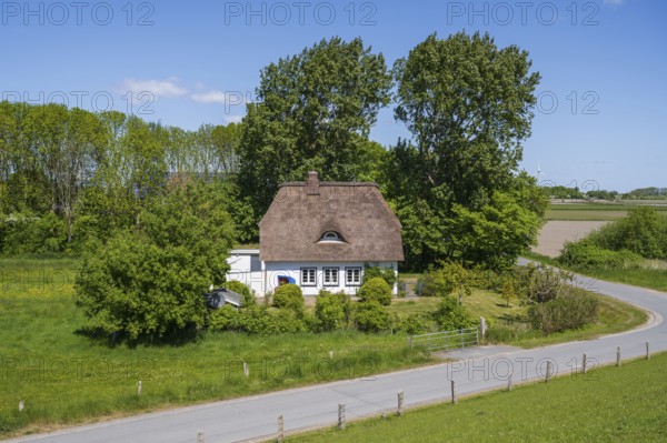 Frisian house with thatched roof, landscape on the dyke, Tammensiel, Pellworm Island, North Sea,