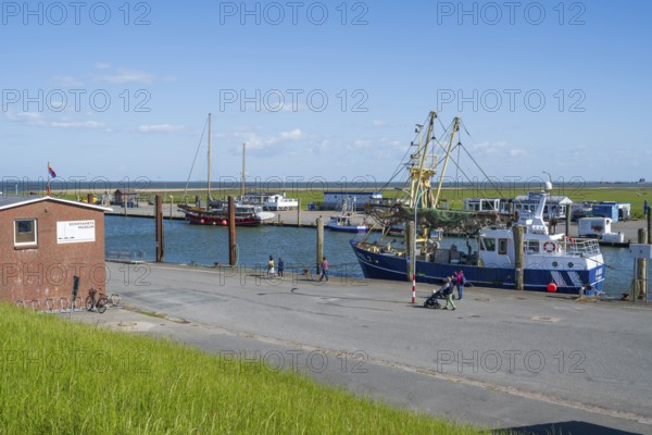 Fishing boats in the harbour, Tammensiel, Pellworm Island, North Frisia, North Sea,