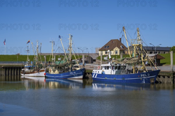 Fishing boats in the harbour of Tammensiel, Pellworm Island, North Frisia, North Sea, North Frisia,