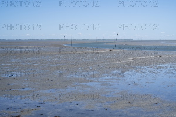 Wadden Sea at low tide, Schleswig-Holstein Wadden Sea National Park, Pellworm Island, North Frisia,