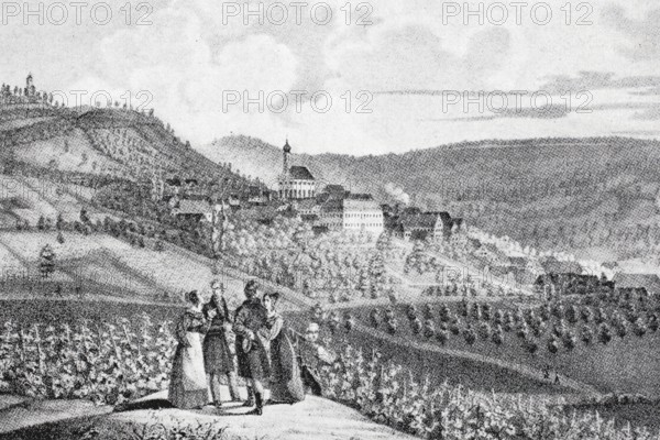 Castell Castle in the Middle Ages, district of Kitzingen, Lower Franconia, Bavaria, Germany,