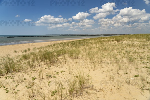The Plage des Chardons beach in L'Aiguillon-la-Presqu'ile, France