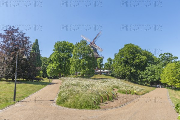 Mill on the rampart or HerdentorsmÃ¼hle, type gallery follower with wind direction tracking,