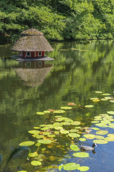 Floating duck breeding house with thatched roof, serous leaves, water reflection, Bremen ramparts,