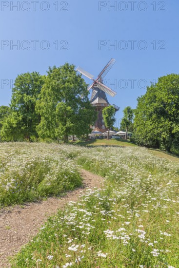 MÃ¼hle am Wall or HerdentorsmÃ¼hle, type gallery mill with wind direction tracking, restaurant and