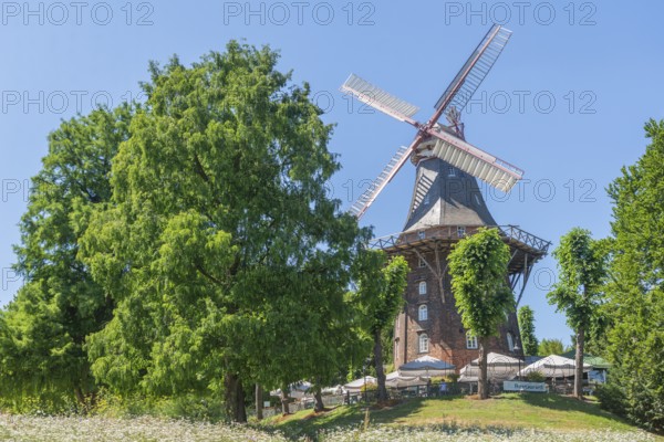 MÃ¼hle am Wall or HerdentorsmÃ¼hle, type gallery mill with wind direction tracking, restaurant and