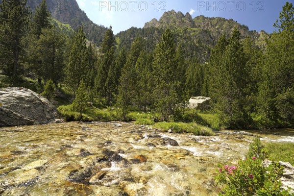 The Riu de Monestero river in the AigÃ¼estortes i Estany de Sant Maurici National Park, Catalonia,