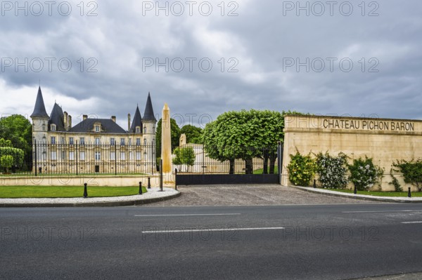Vineyard of Chateau Pichon Longueville Baron Vineyard and grape fields around Pauillac, Bordeaux,