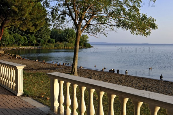 Lake promenade, balustrades, beach with ducks, Lake Bolsena, Lago di Bolsena, volcanic crater lake,