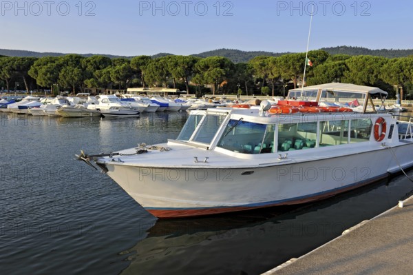 Excursion boat, motorboat and yachts in the marina of Bolsena, Porto Turistico di Bolsena, pine