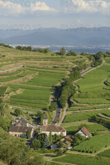 Het uitzicht toont een schilderachtig dorp omringd door uitgestrekte wijngaarden op de heuvels, met
