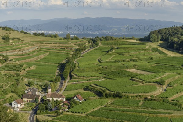 Het uitzicht toont een schilderachtig dorp omringd door uitgestrekte wijngaarden op de heuvels, met