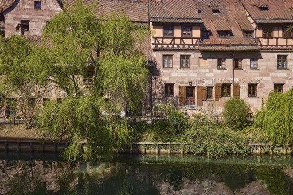 Old town, river Pegnitz, Babylon willow (Salix babylonica), historic buildings, roofs, red roof