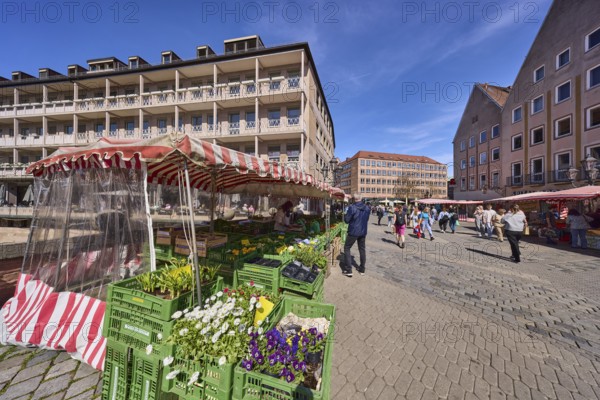 Pedestrian zone, market, market stalls, flower stall, pedestrians as secondary motif, blue sky,