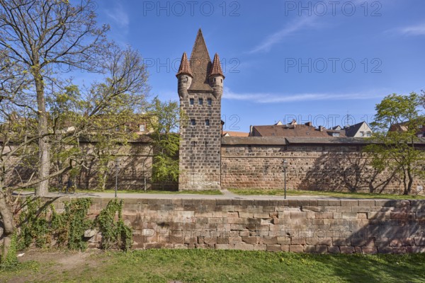 Old Town, Zwinger, city fortification, city wall, tower, historic buildings, trees, meadow, blue