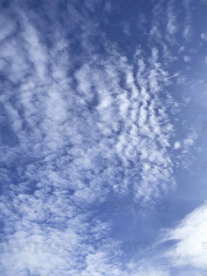 White clouds Cirrocumulus in front of blue sky. international
