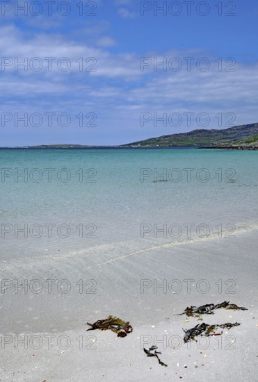 Calm beach with blue sky, clear water and seaweed in the foreground, Outer Hebrides, Eriksay,