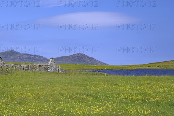 Wide green flower meadow with ruins against a mountainous backdrop under a blue sky, Outer