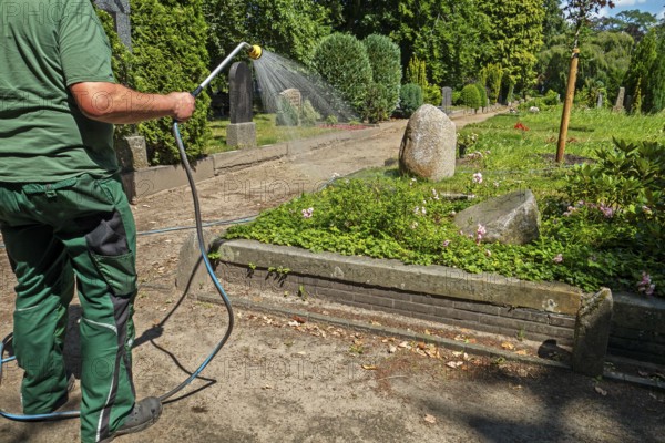 Green areas, flowers, drought, garden hose, gardening employee, in work clothes, gardening and