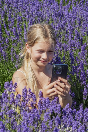 Blonde girl, 9 years old, photographing blooming lavender with a mobile phone in Köpingebro, Ystad